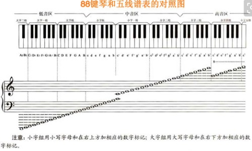 【吃什么食物对肾好最快最有效】吃什么食物对神经恢复快速 - 吃什么食物堕胎最快网
