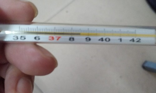 吃什么食物对肾好最快最有效-【吃什么食物对肾好最快最有效】吃什么食物对神经恢复快速 - 吃什么食物堕胎最快网